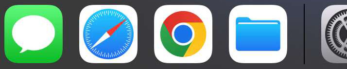 safari.jpg